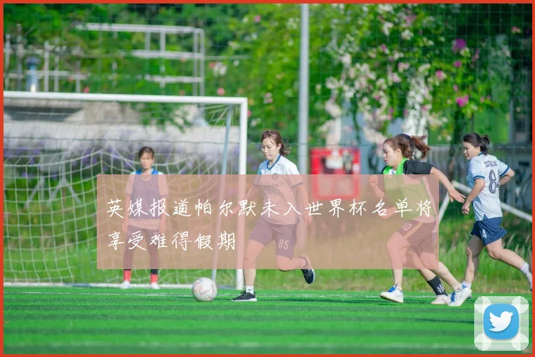 英媒报道帕尔默未入世界杯名单将享受难得假期