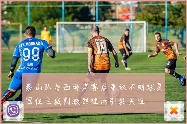 泰山队与西海岸赛后争议不断球员围住主裁判激烈理论引发关注